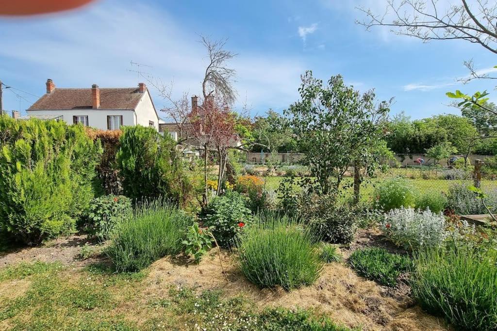 Les Noyers Monestois Entre Cher Et Canal De Berry Mennetou-sur-Cher Exterior foto