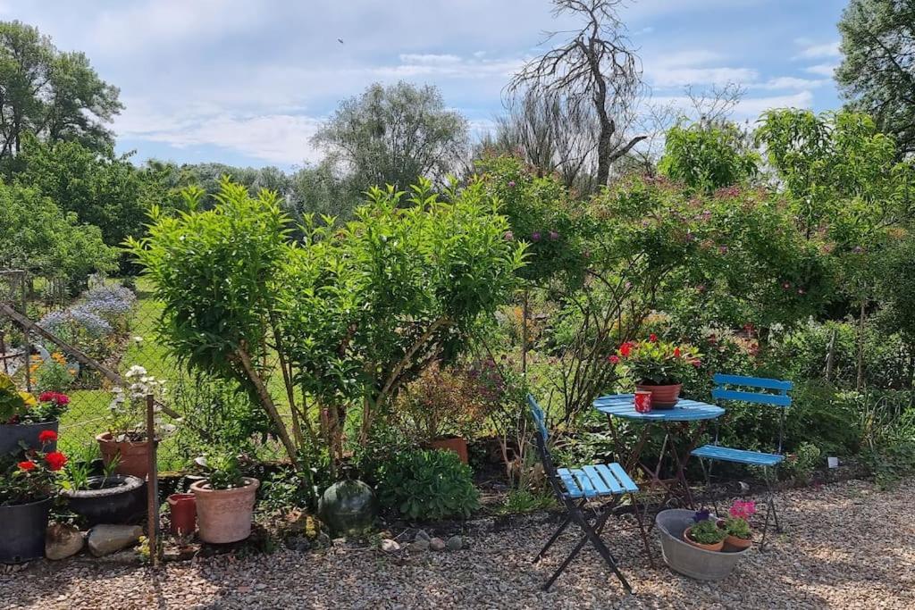 Les Noyers Monestois Entre Cher Et Canal De Berry Mennetou-sur-Cher Exterior foto