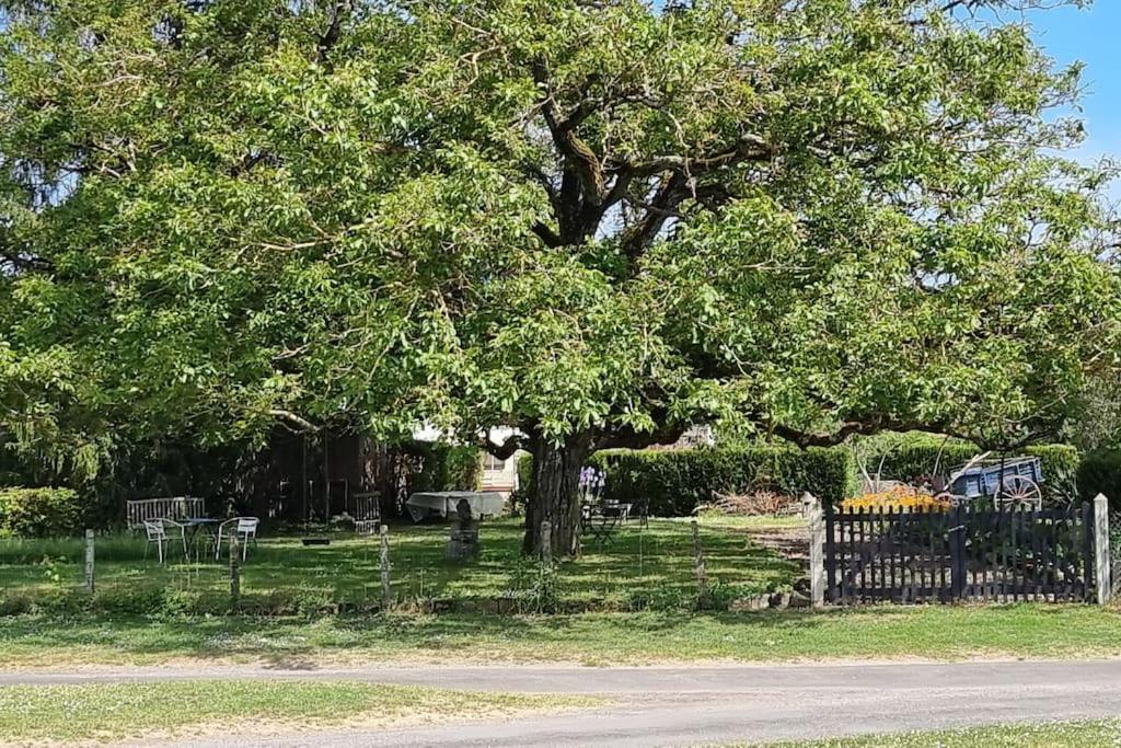 Les Noyers Monestois Entre Cher Et Canal De Berry Mennetou-sur-Cher Exterior foto